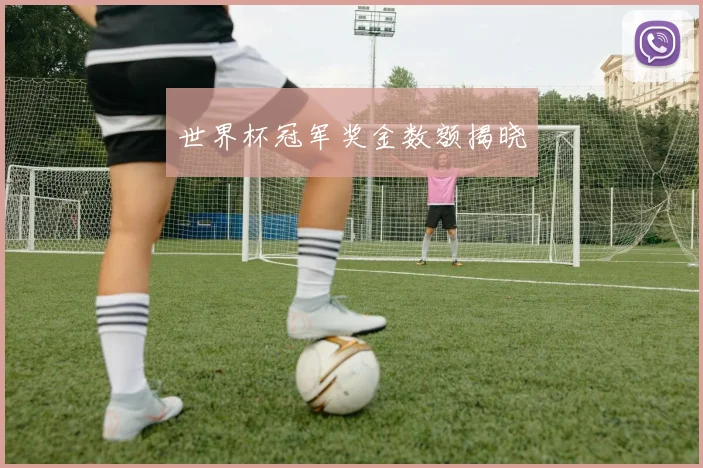世界杯冠军奖金数额揭晓