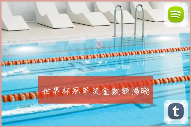 世界杯冠军奖金数额揭晓